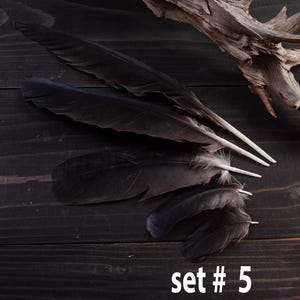 Black raven 3 feathers magic Witchcraft set#5