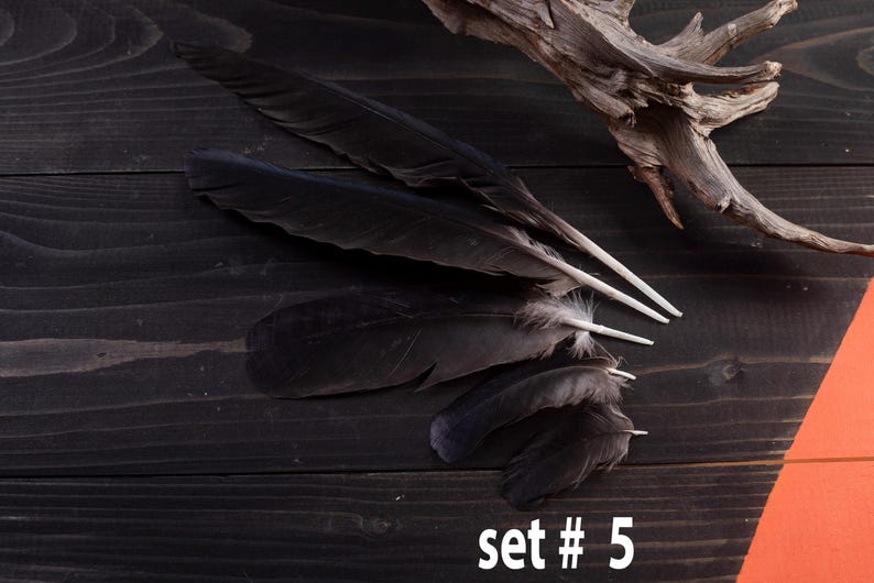 Black raven 3 feathers magic Witchcraft set#5