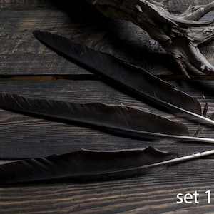 Black raven 3 feathers magic Witchcraft