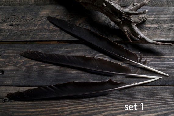 Black raven 3 feathers magic Witchcraft