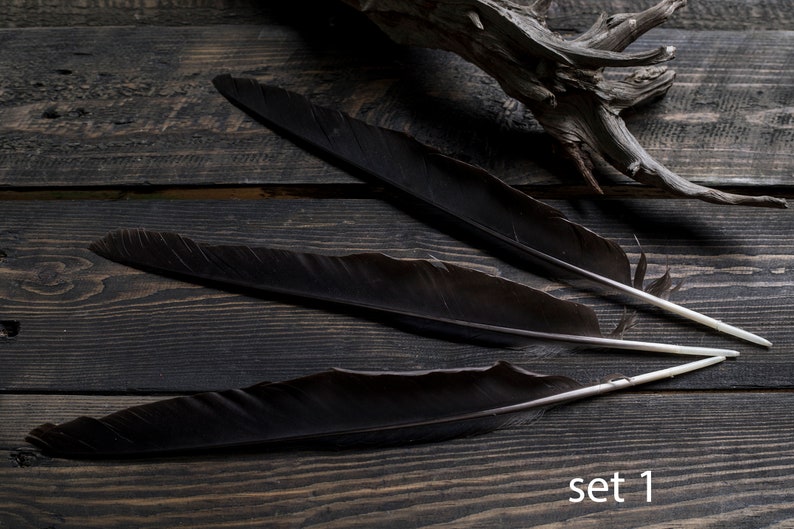 May include: Three large black feathers with white stems are arranged on a dark wooden surface. A piece of driftwood is in the background. The text "set 1" is in the lower right corner. The feathers have a natural, rustic aesthetic.