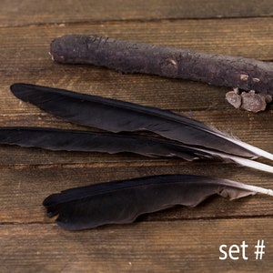 Black raven 3 feathers, magic, Witchcraft. Natural shedding. Good energy. image 10