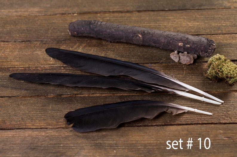 Black raven 3 feathers, magic, Witchcraft. Natural shedding. Good energy. image 10