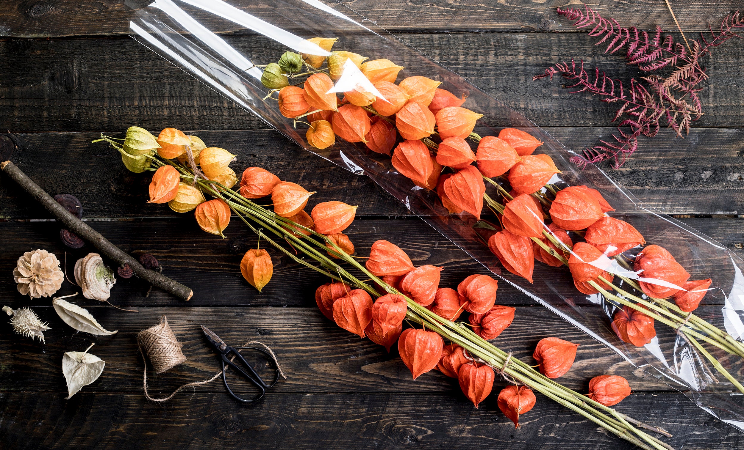 Dried flowers physalis boquet branches Burnt orange Woodland Etsy