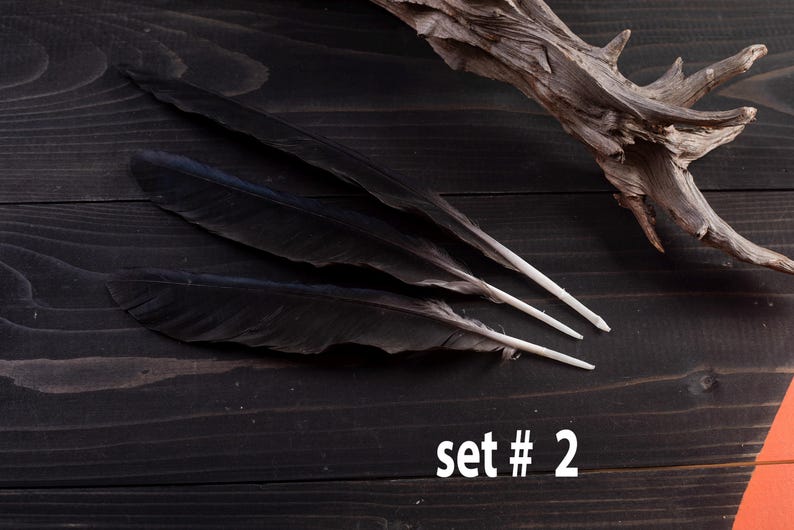 Black raven 3 feathers magic Witchcraft set#2