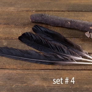 Black raven 3 feathers, magic, Witchcraft. Natural shedding. Good energy. image 5
