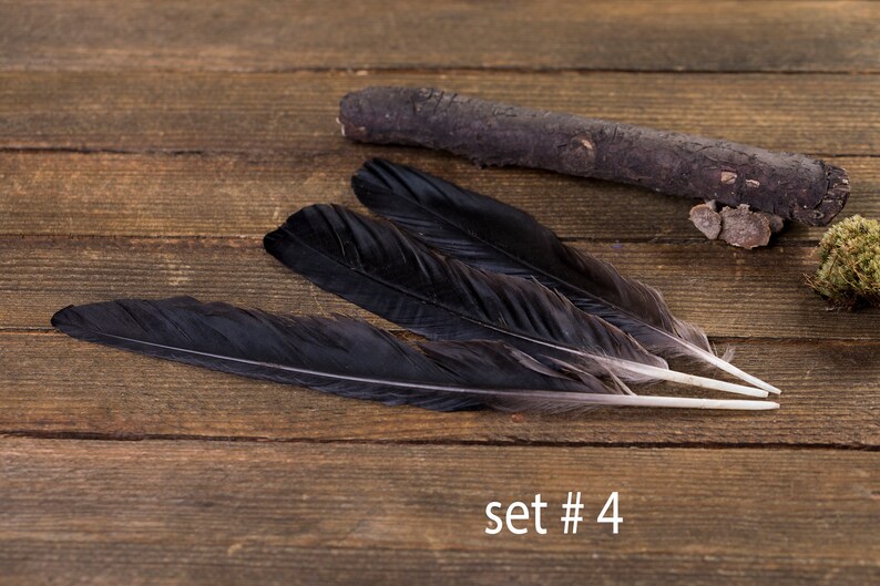 Black raven 3 feathers, magic, Witchcraft. Natural shedding. Good energy. image 5