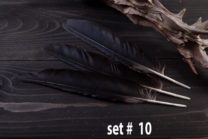 Black raven 3 feathers magic Witchcraft set#10
