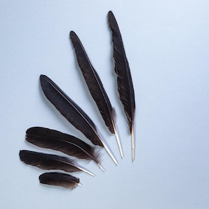 Black raven feathers set for craft, magic, Witchcraft. Natural shedding. Good energy.