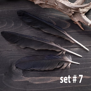 Black raven 3 feathers magic Witchcraft set#7