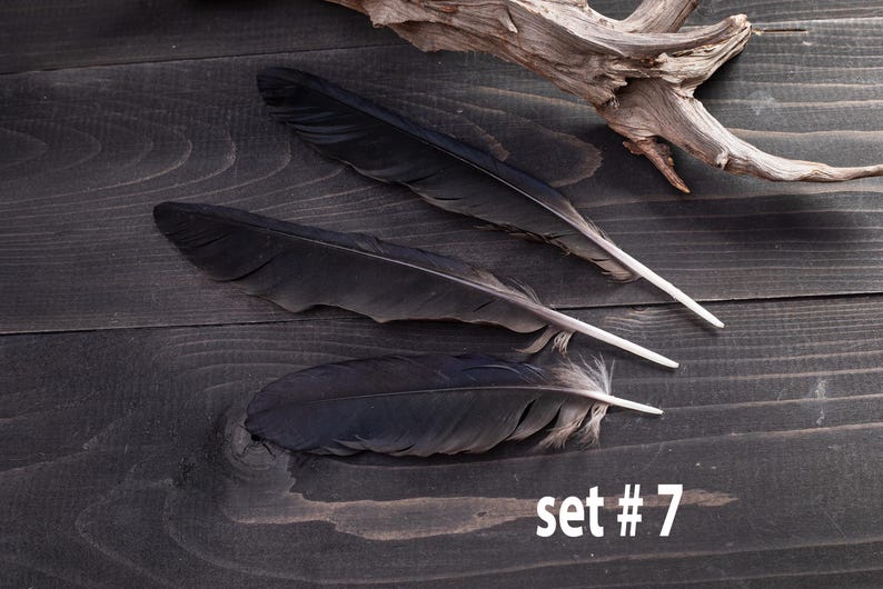 Black raven 3 feathers magic Witchcraft set#7