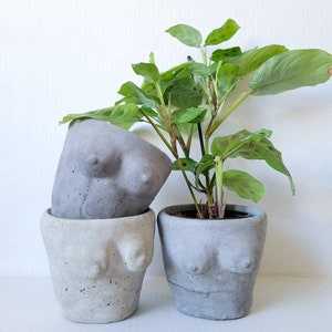 Tittypot | Cement Boob Plant Pot