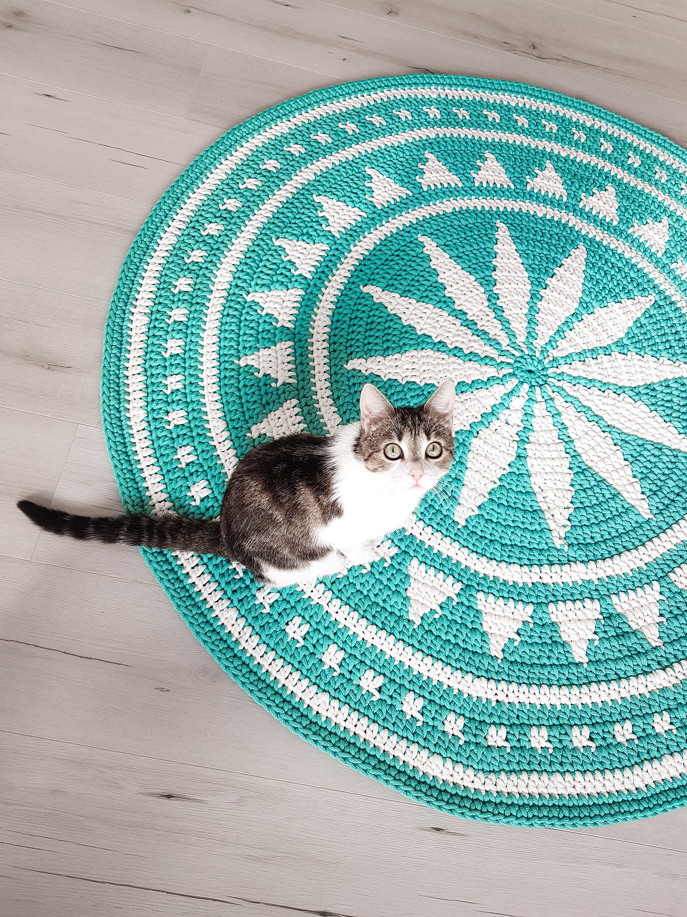Tapestry crochet rug pattern Crochet round rug pattern Etsy