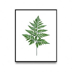 Tropical leaf print Fern wall print Tropical wall poster | Etsy