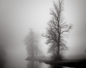Landscape Photograph, Monochrome, Berkshire, Misty Trees II