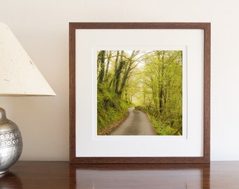 Landscape Photograph, North Wales, Snowdonia, Green Lane, Trees