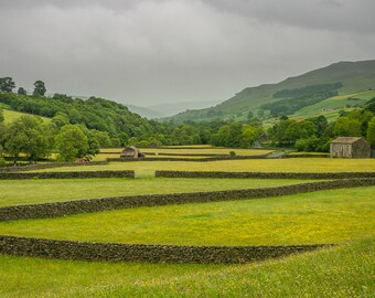 Landscape Photograph, Yorkshire Dales, Swaledale, Meadows, Drystone Walls, Flowers, Spring