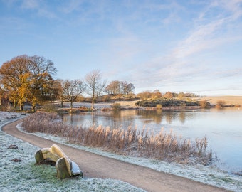 Landscape Photograph, Cumbria, Talkin Tarn, Brampton, Sunrise, Winter, Colour