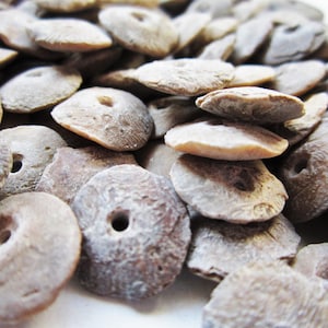 20 Ancient Neolithic Fossil Coral Disc Beads up to Several Thousand Years Old Indus Valley