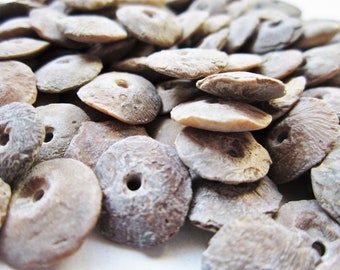 20 Ancient Neolithic Fossil Coral Disc Beads up to Several Thousand Years Old Indus Valley