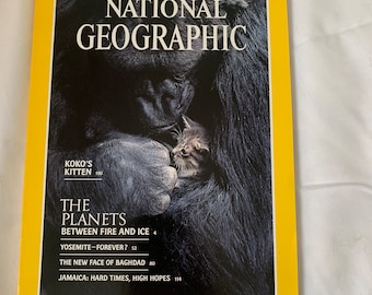 Il gattino di Koko, gennaio 1985 National Geographic