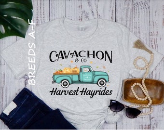 Loads Of Luck Truck Alaskan Malamute St Patrick's Day T-Shirt Loads Of Luck Truck Alaskan Malamute St Patrick's Day T-Shirt