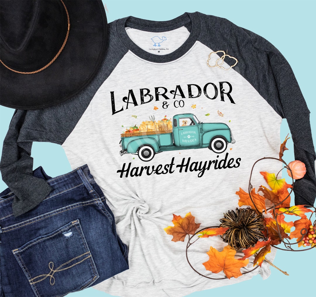 Labrador yellow Lab Harvest Hayrides 3/4 Sleeve Light Gray - Etsy