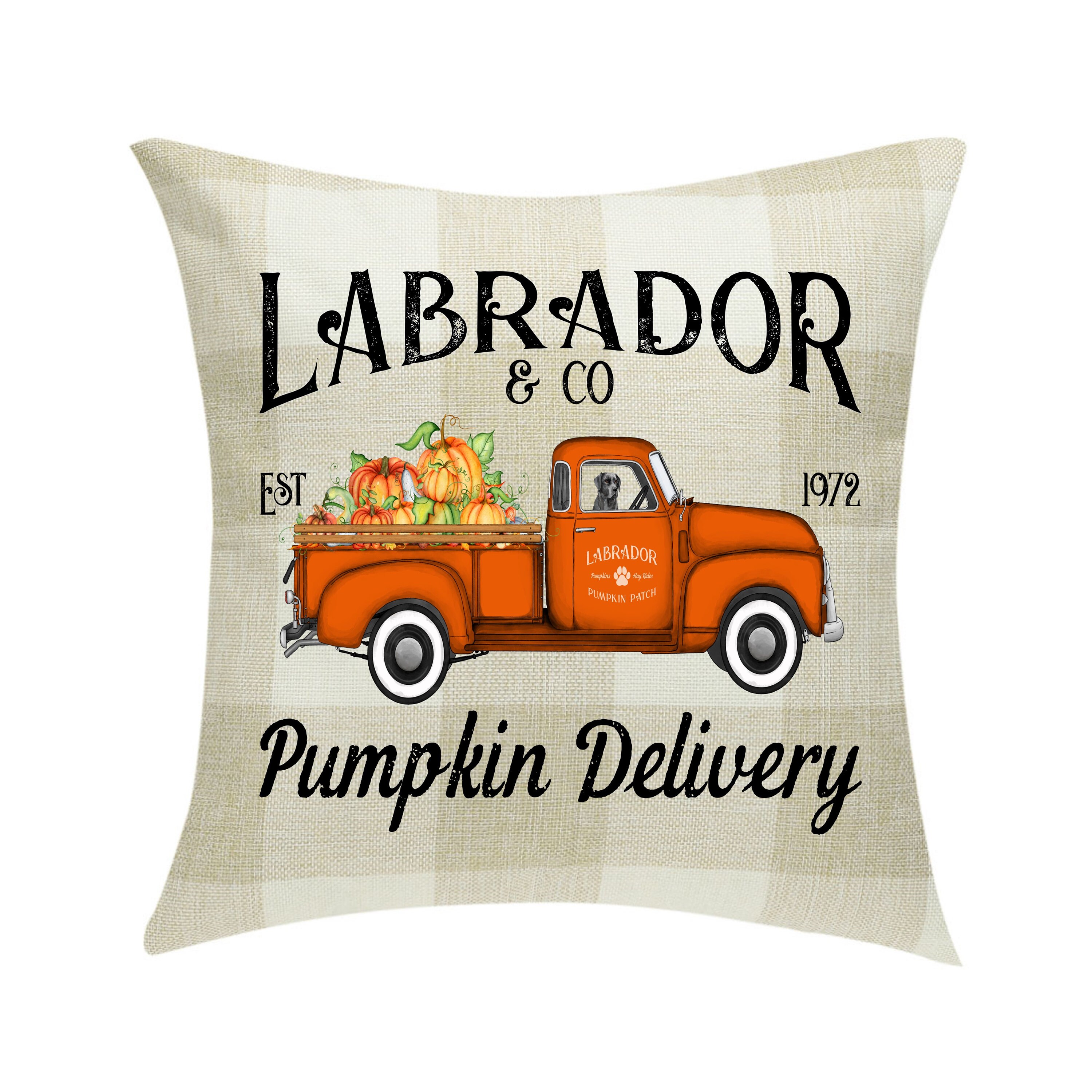 Black Lab Pumpkin Delivery Pillow Cover Buffalo Plaid 18 x 18 Etsy