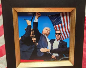Framed Donald Trump Photo, Desktop Picture (5.5x5.5)
