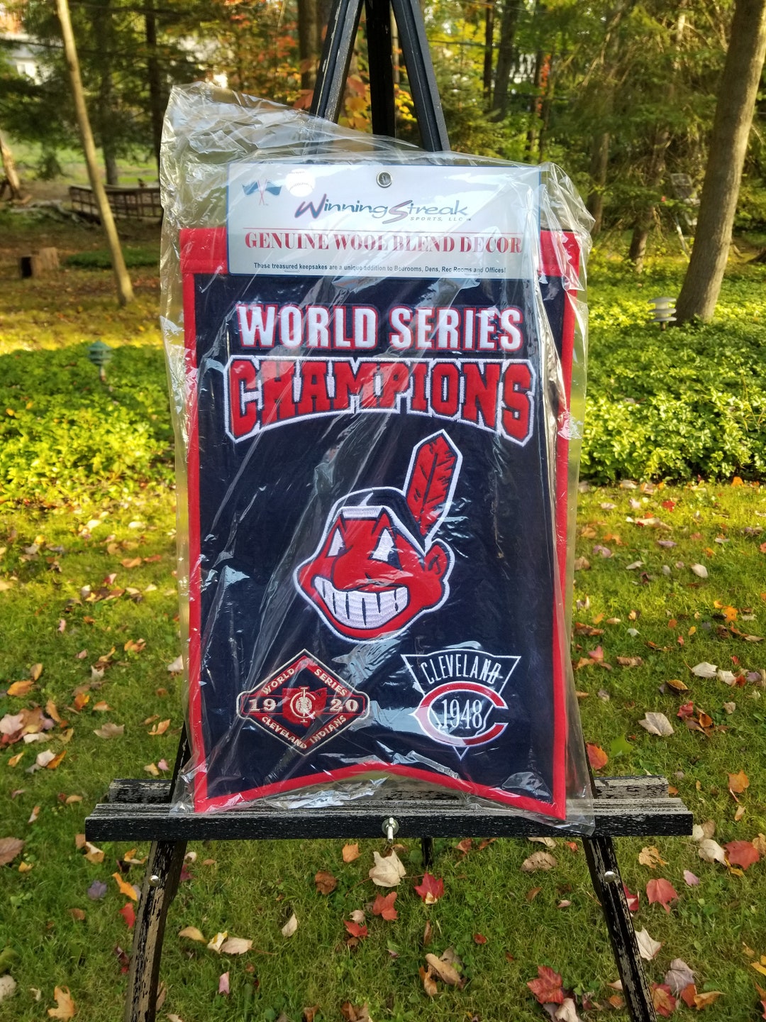 Cleveland Baseball Team Officially Licensed MLB Banner Etsy