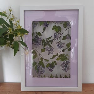 Flower Picture Pressed Flowers, Pressed Flower, Preserved Flower Art, Pressed Flower Art, Botanical Art, Wedding Gift, Two Flower Cards Free