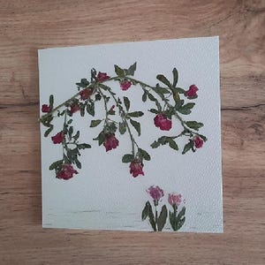 TARJETA DE FLORES SECAS Tarjetas de felicitación ocasionales hechas a mano Tarjetas para el día de la madre Regalo, presente