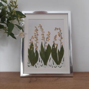 Flower Picture Pressed Flowers, Pressed Flower, Preserved Flower Art, Pressed Flower Art, Botanical Art, Wedding Gift, Two Flower Cards Free