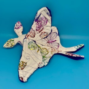 Moth