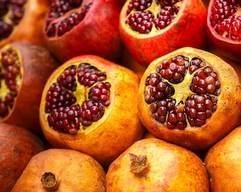 Sirenevyi Pomegranate - Punica granatum