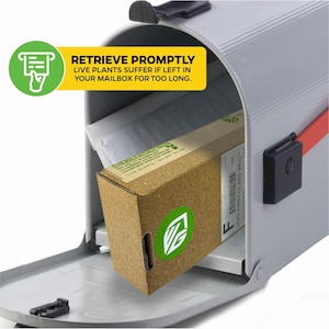 Puede incluir: Una caja de cart&oacute;n marr&oacute;n con un logotipo de hoja verde est&aacute; dentro de un buz&oacute;n gris. La caja tiene una etiqueta blanca con el texto "USPS FIRST-CLASS" y "PKO". Un letrero de advertencia amarillo en el buz&oacute;n dice "RETRIEVE PROMPTLY LIVE PLANTS SUFFER IF LEFT IN YOUR MAILBOX FOR TOO LONG."