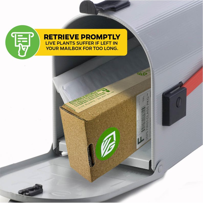Puede incluir: Una caja de cart&oacute;n marr&oacute;n con un logotipo de hoja verde est&aacute; dentro de un buz&oacute;n gris. La caja tiene una etiqueta blanca con el texto "USPS FIRST-CLASS" y "PKO". Un letrero de advertencia amarillo en el buz&oacute;n dice "RETRIEVE PROMPTLY LIVE PLANTS SUFFER IF LEFT IN YOUR MAILBOX FOR TOO LONG."