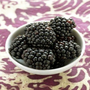 Kiowa Blackberry - Rubus - Live Plant