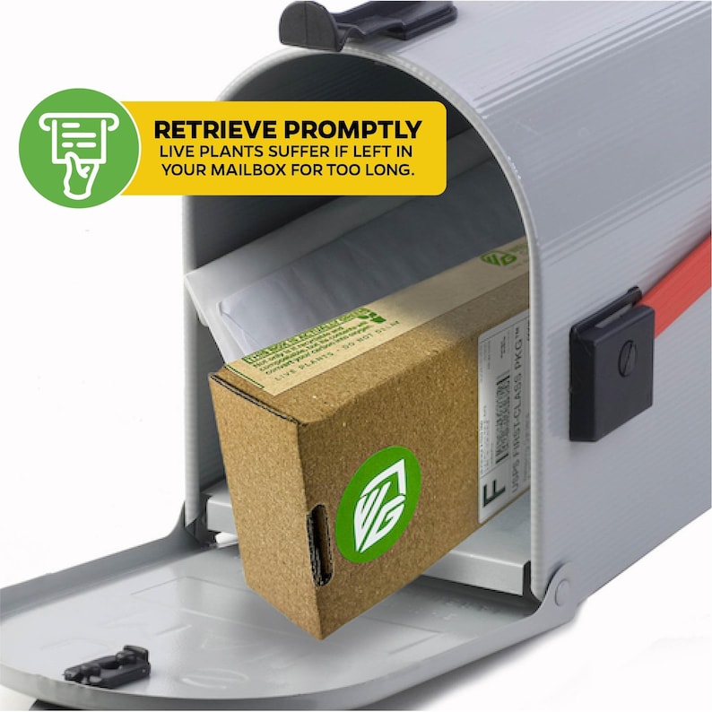 Puede incluir: Un buz&oacute;n gris con una caja de cart&oacute;n marr&oacute;n que contiene plantas vivas. La caja tiene un logotipo verde y la etiqueta "USPS FIRST-CLASS PKG". Una pancarta amarilla dice "RECOGER R&Aacute;PIDAMENTE. Las plantas vivas sufren si se dejan demasiado tiempo en su buz&oacute;n."