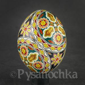 Echte Oekraïense Pysanky Chicken Pysanka Hoge kwaliteit van Roman Easter Egg Handgemaakt. Een geweldig cadeau voor een verzamelaar