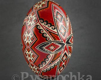 Real Ukrainian Pysanky Goose Pysanka Hand made Hutsul Easter Egg Osterei Pisanka Egg Art. Great gift for a collector any occasion.
