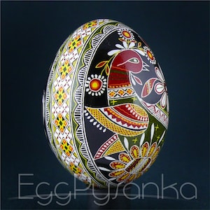 Real Ukrainian Pysanky Chicken Pysanka High Quality by Roman Easter Egg Hand made. A great gift for a collector