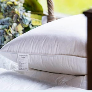Feather and Down Cushion Filler Pad