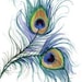 Propietario de <a href='https://www.etsy.com/mx/shop/TheCraftDoctorStudio?ref=l2-about-shopname&from_page=listing' class='wt-text-link'>TheCraftDoctorStudio</a>