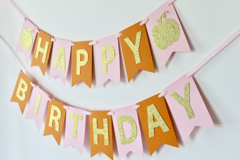 Pumpkin Birthday Party Banner Orange Pink And Gold Pumpkin Etsy
