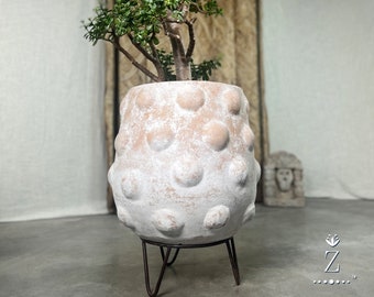 Maceta Cantaro, Jardinera de Terracota con Soporte de Hierro.