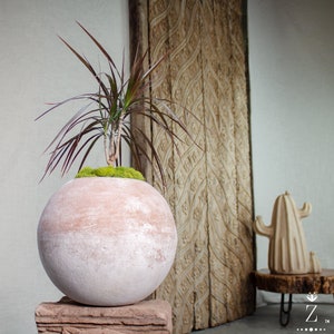 May include: A spherical terracotta planter with a weathered, light-colored finish containing a dracaena plant with thin, pointed, dark reddish-green leaves and a layer of bright green moss covering the soil surface at the base of the plant.