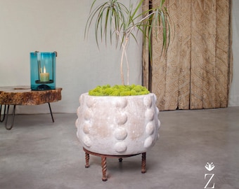 May include: A white ceramic planter with a textured surface and a round shape sits on a metal stand with three legs. The planter is filled with green moss and a small green plant with multiple stems.