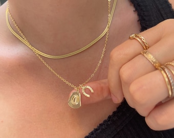 Puede incluir: Collar dorado con dos capas. La capa superior es una cadena de espiga. La capa inferior tiene un sombrero de vaquero y un dije de herradura. Varios anillos dorados están en un dedo.