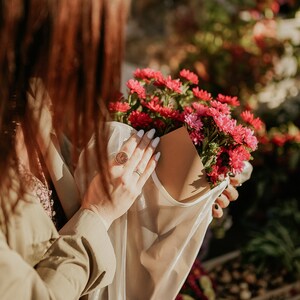 May include: A person holding a bouquet of pink and red flowers wrapped in a white paper bag. The flowers are in a clear plastic bag.